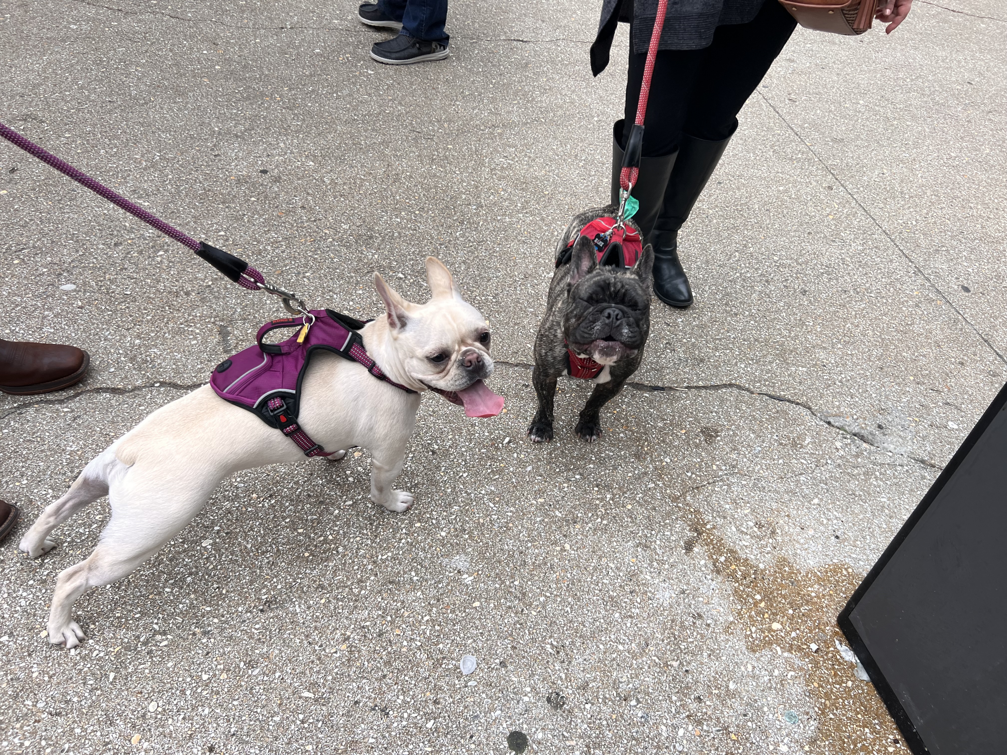 ./2022/13 - St Augustine/IMG_4996.JPG